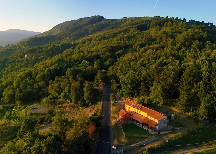 Terra Del Bosco Agriturismo