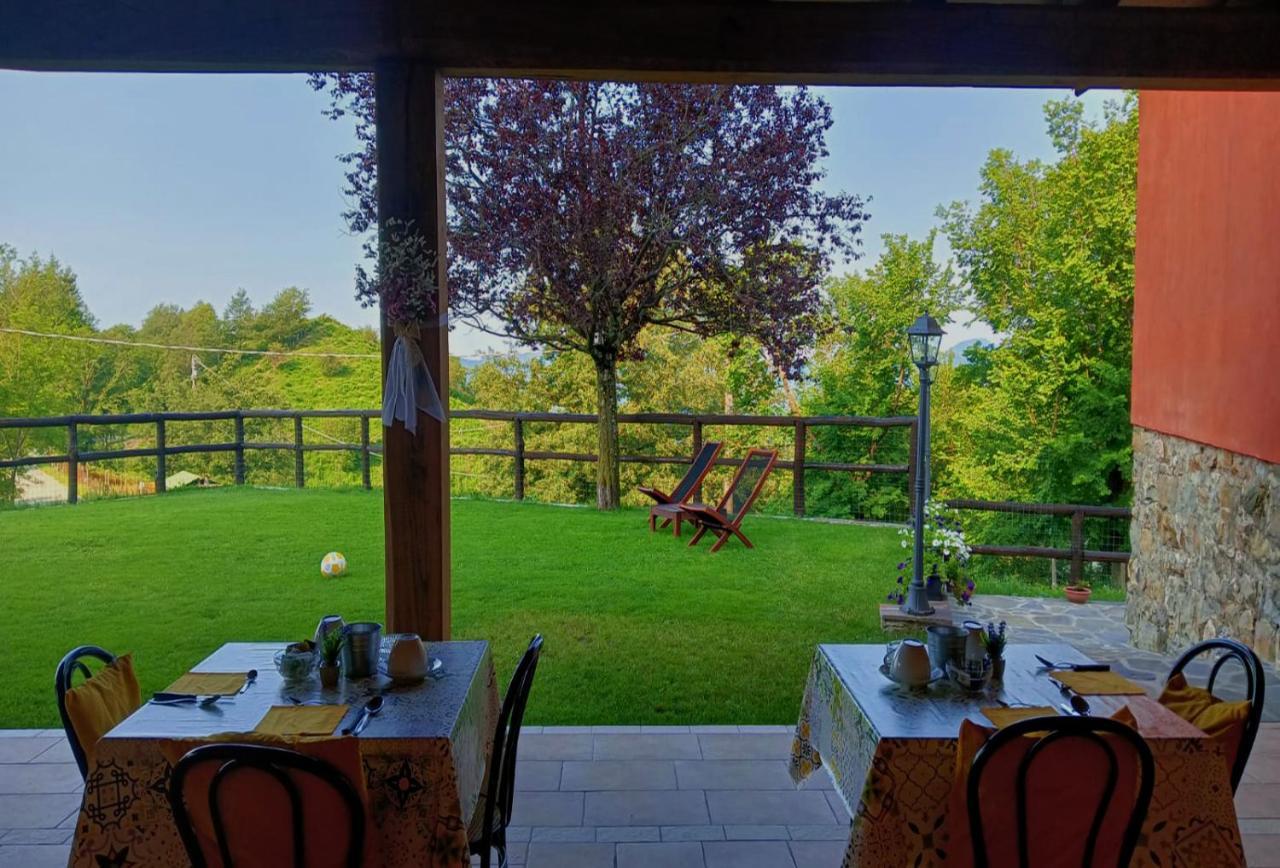 Terra Del Bosco * Sesta Godano