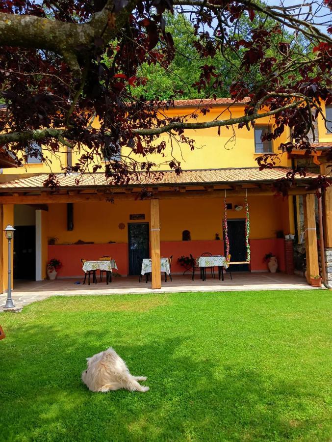 Terra Del Bosco Vakantieboerderij Sesta Godano