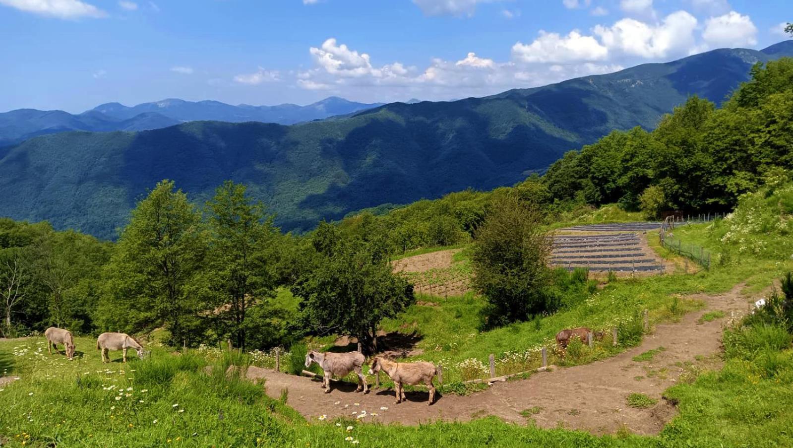 Terra Del Bosco Vakantieboerderij