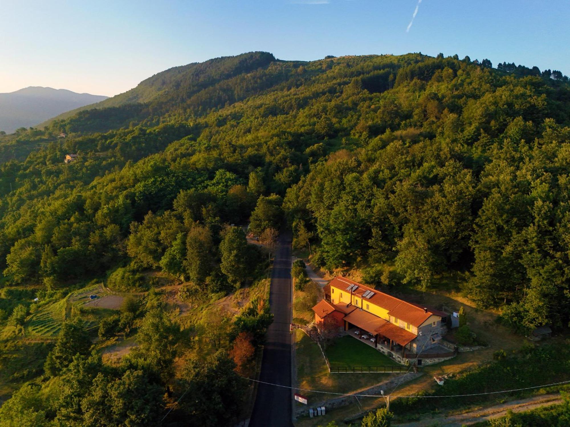 Vakantieboerderij Terra Del Bosco