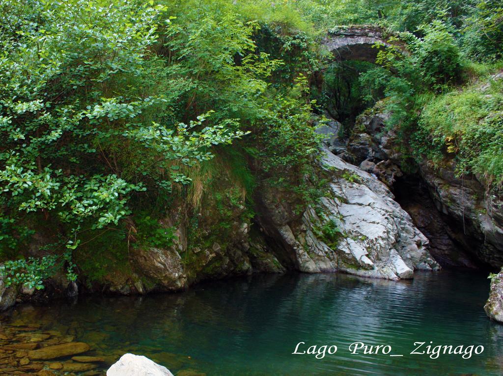 Terra Del Bosco Sesta Godano