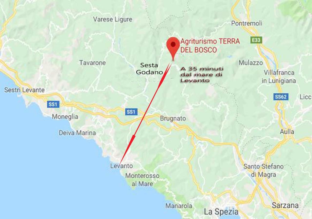 Terra Del Bosco *