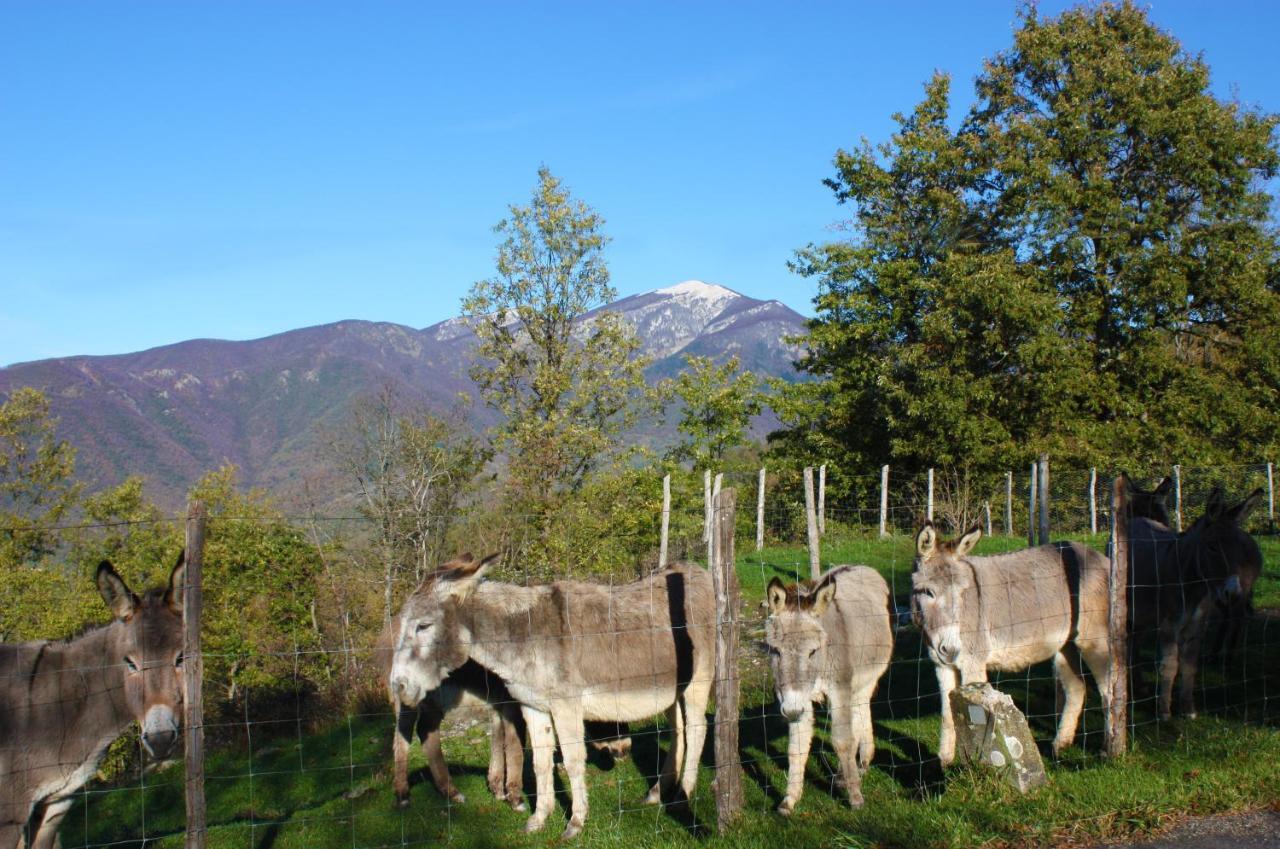 Terra Del Bosco Vakantieboerderij